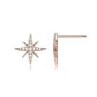 925 Sterling Silver Plated Rose Gold Bright Star Cubic Zirconia Stud Earrings Rose Gold - One Size