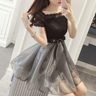 Lace Panel Short Sleeve Tulle Dress