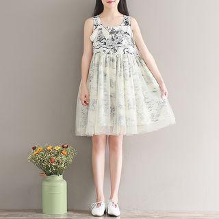 Printed Mesh Panel Sleeveless A-line Dress