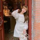 Lantern-sleeve Lace Blouse / Mini A-line Overall Dress