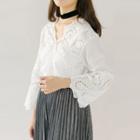Perforated Long-sleeve V-neck Lace Top