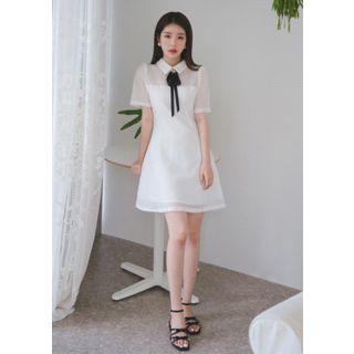 Mesh A-line Mini Dress With Ribbon