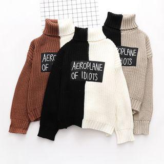 Turtleneck Applique Color Block Sweater