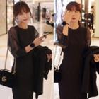 Sheer-sleeve Sheath Dress