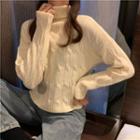High-neck Cable Knit Long-sleeve Knit Top