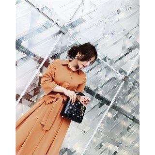 Long-sleeve Plain Chiffon Shirtdress
