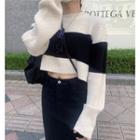 Two-tone Sweater Black & Beige - One Size