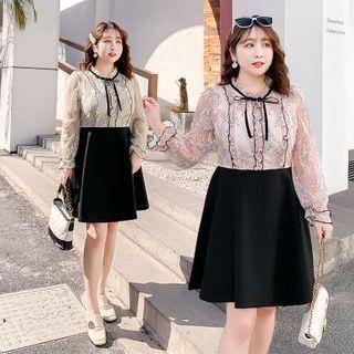 Long-sleeve Lace Frill Trim A-line Dress