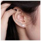Rhinestone Segment Earring