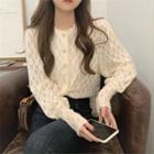 Long-sleeve Button-up Lace Blouse Almond - One Size