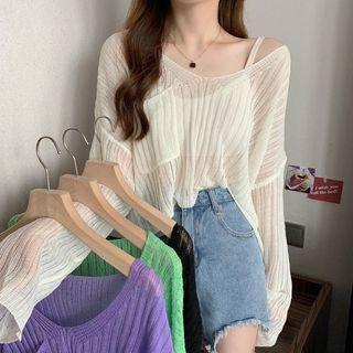 Long-sleeve V-neck Plain Sheer Top