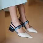 Pointed Toe Block Heel Slingback Sandals