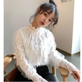 Stand Collar Long-sleeve Mesh Top