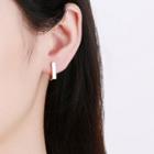S925 Sterling Silver Hook Earring