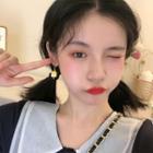 Miniature Dessert Dangle Earring