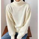 Long-sleeve Plain Turtleneck Knit Sweater