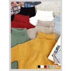 Turtle-neck Cable-knit Knit Top
