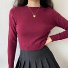 Cropped Plain Round-neck Knit Top