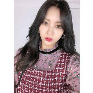 Frill-collar Beribboned Floral Blouse