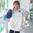 Embroidered Raglan-sleeve Pullover