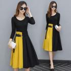 Two Tone A-line Dress With Belt