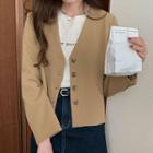 Long-sleeve V-neck Plain Single-breasted Blazer