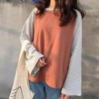 Striped-sleeve Raglan T-shirt