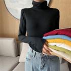 Turtleneck Knit Top In 8 Colors