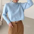 Woolen Crop Pastel Sweater