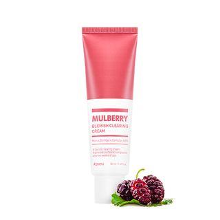 Apieu - Mulberry Blemish Clearing Cream 50ml