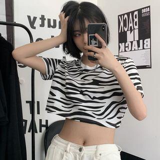 Short Sleeve Zebra Print T-shirt / Crop T-shirt