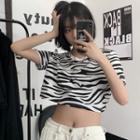 Short Sleeve Zebra Print T-shirt / Crop T-shirt