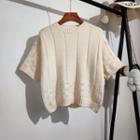 Round-neck Cut-out Cropped Semi Sleeve Sweater