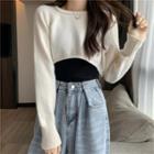 Knit Top / Cropped Sweater