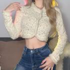 Long-sleeve Fluffy Trim Crop Lace Top