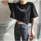Cropped Short-sleeve T-shirt Black - One Size