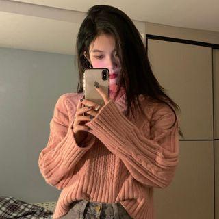 Turtleneck Long-sleeve T-shirt / Cable-knit Sweater