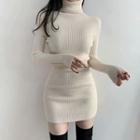 Long-sleeve Turtleneck Knit Bodycon Dress