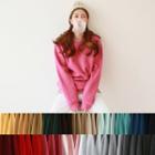 Colored Brushed-fleece Thick Sweatshirt
