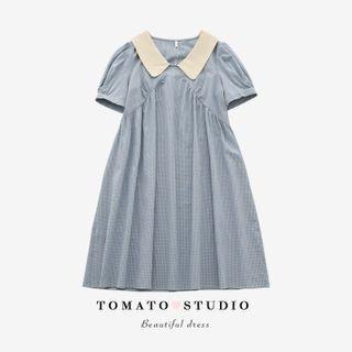 Two Tone Pleated A-line Dress