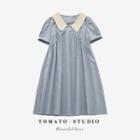 Two Tone Pleated A-line Dress