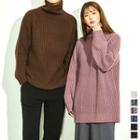 Couple Turtle-neck Rib-knit Sweater