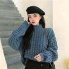 Turtle-neck Loose-fit Sweater Blue - One Size