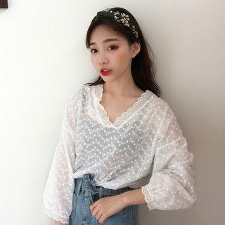 Eyelet Lace V-neck Long-sleeve Blouse