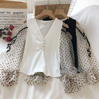 Long-sleeve Dotted Mesh V-neck Blouse