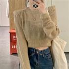 Long-sleeve Plain Knit Cropped Sweater Sweater - One Size