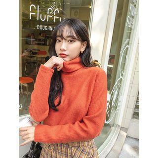 Turtle-neck Ribbed Napped Top