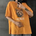 Cat Print Short Sleeve T-shirt / Plaid Cropped Pants