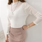 Long-sleeve Mock-neck Sheer T-shirt