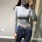Turtleneck Ribbed Cropped Knit Top